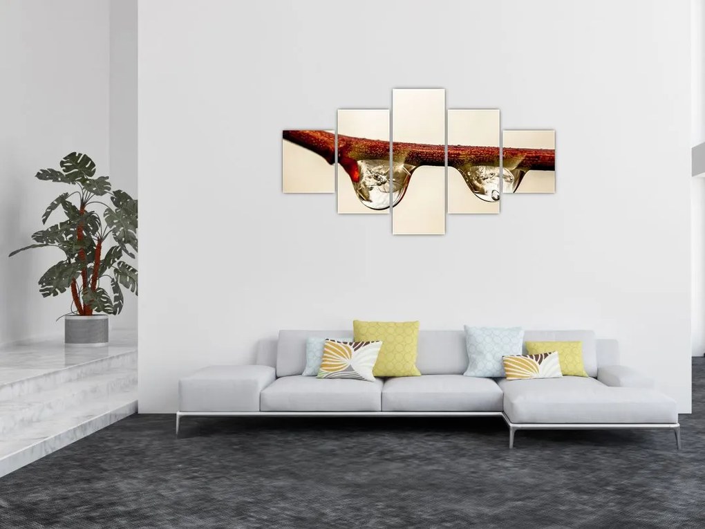 Obraz kropli na gałęzi (125x70 cm)