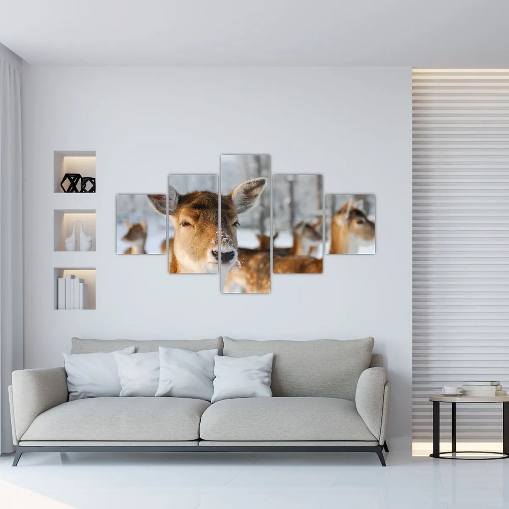 Obraz - Jelonki (125x70 cm)