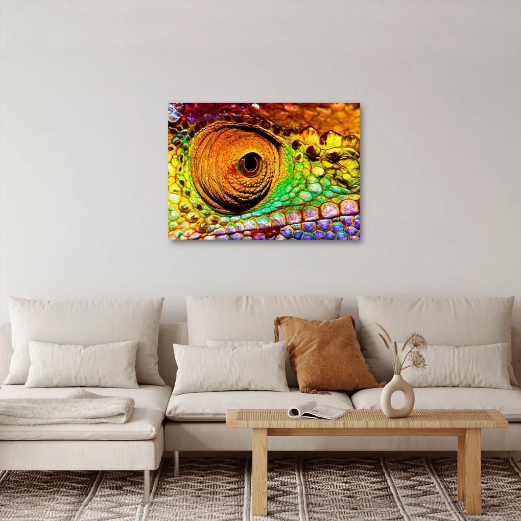Obraz - Kameleon (70x50 cm)