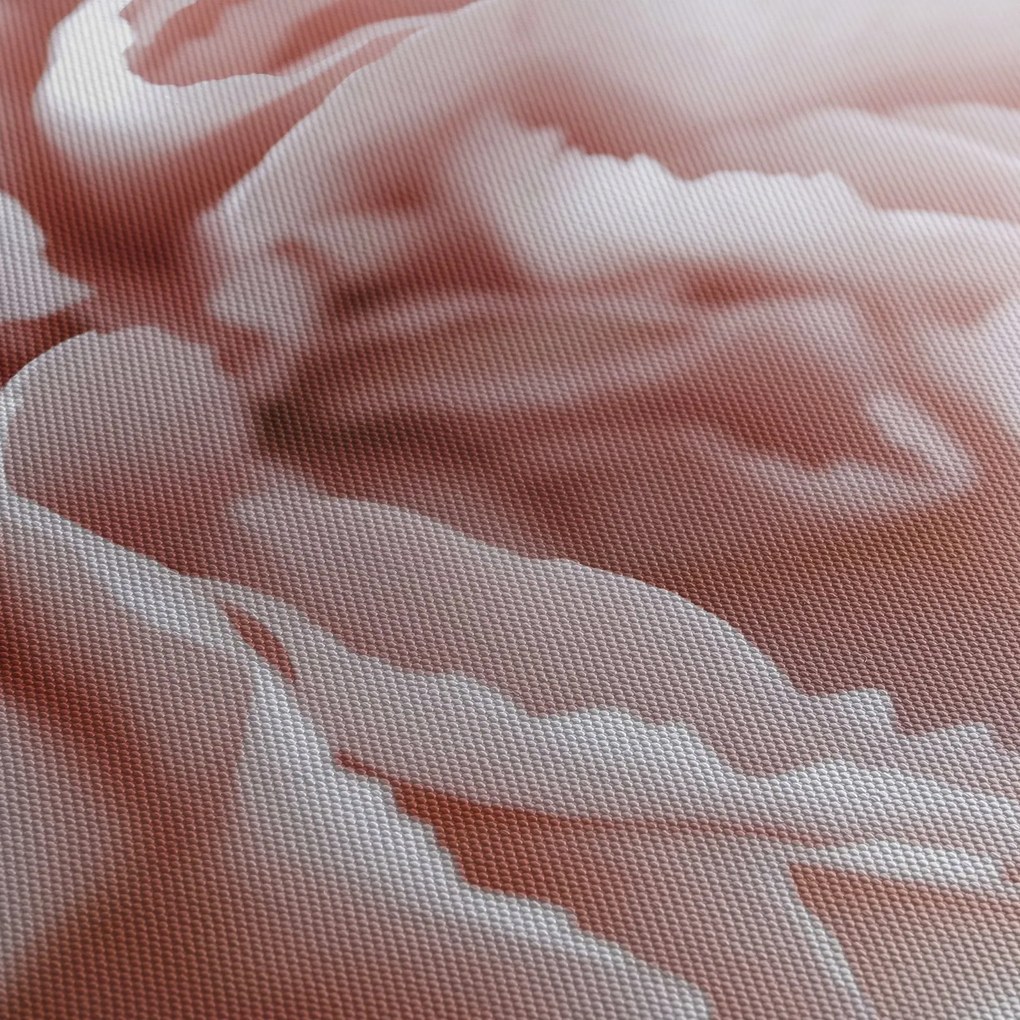 Obraz - Szczegół kwiatu (125x70 cm)