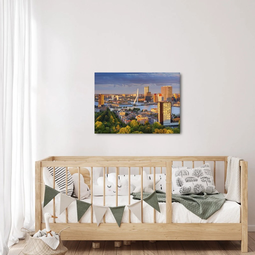 Obraz - Panorama Rotterdamu, Holandia (70x50 cm)