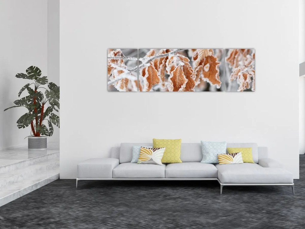 Obraz - Zamarznięte liście (170x50 cm)