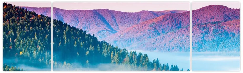 Obraz - Panorama 2 (170x50 cm)