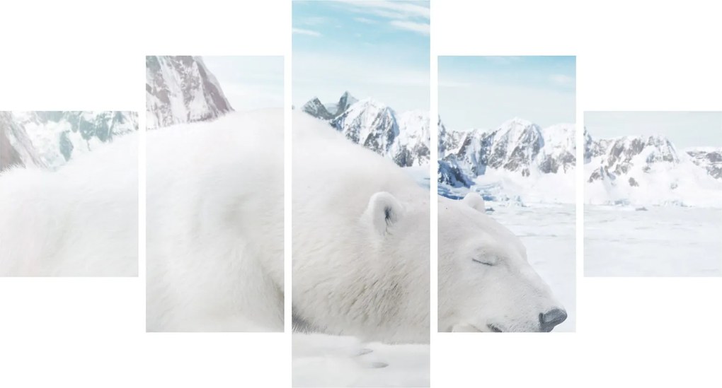 Obraz - Niedźwiedź polarny (125x70 cm)