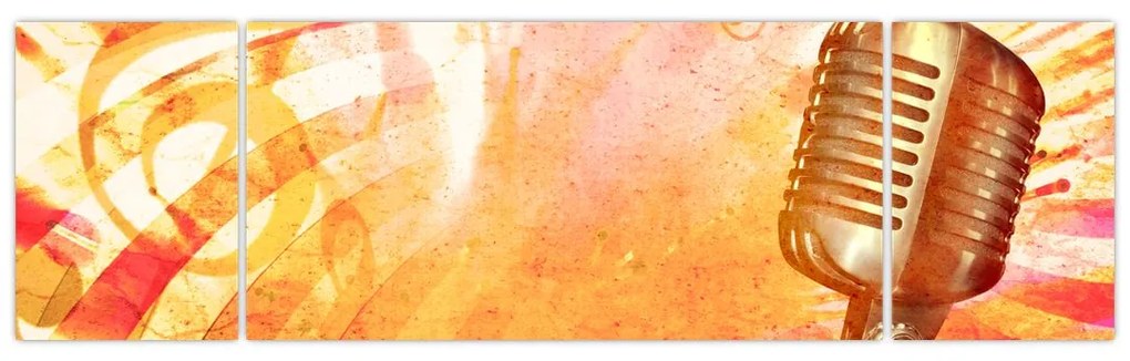 Obraz - Mikrofon retro (170x50 cm)