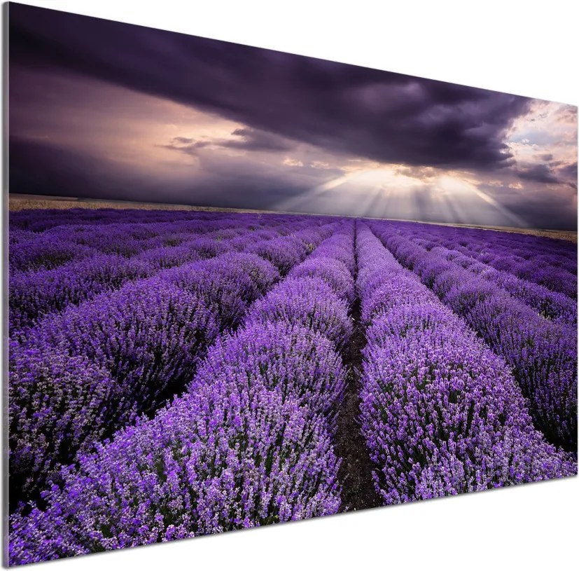 Panel dekor szkło Pole lawendy