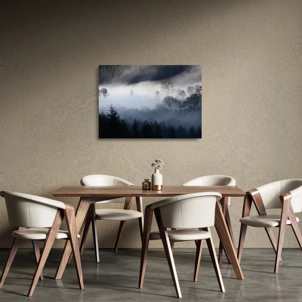 Obraz na szkle mgły nad lasem (70x50 cm)