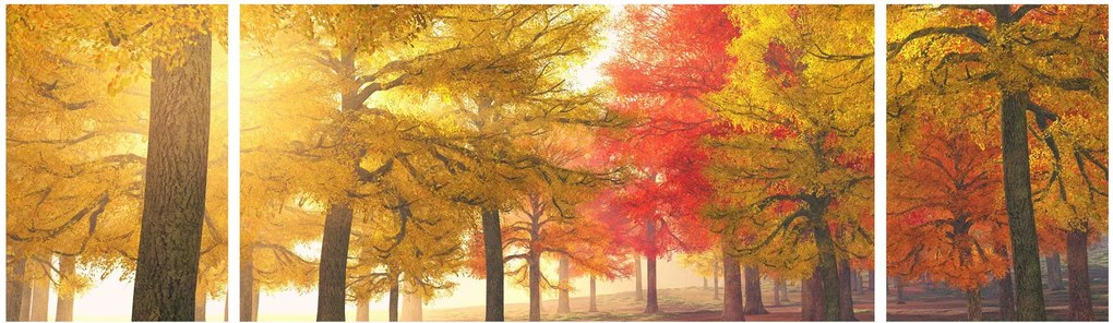 Obraz jesiennych drzew (170x50 cm)