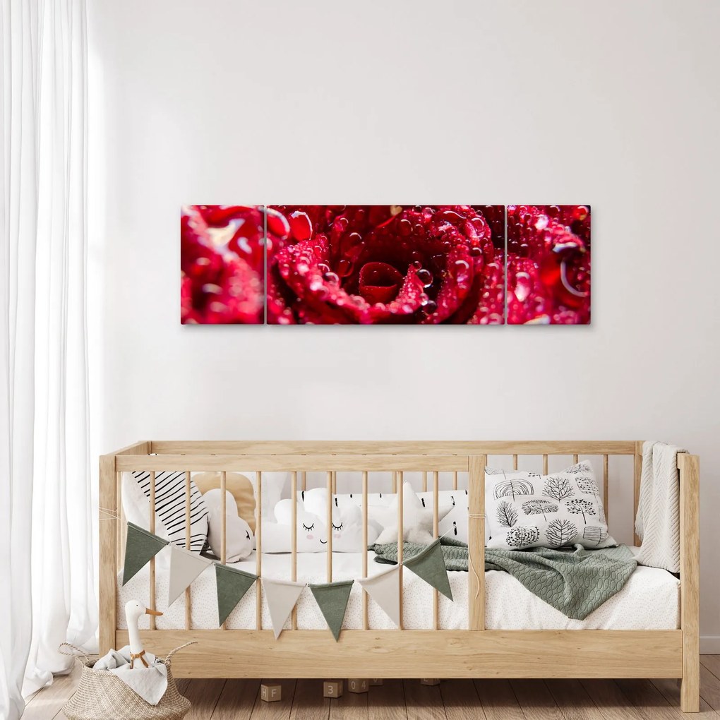 Obraz czerwonego kwiatu róży (170x50 cm)