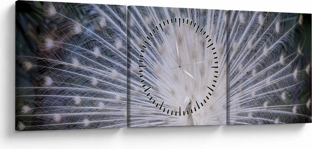 Obraz - Biały paw (z zegarem) (90x30 cm)