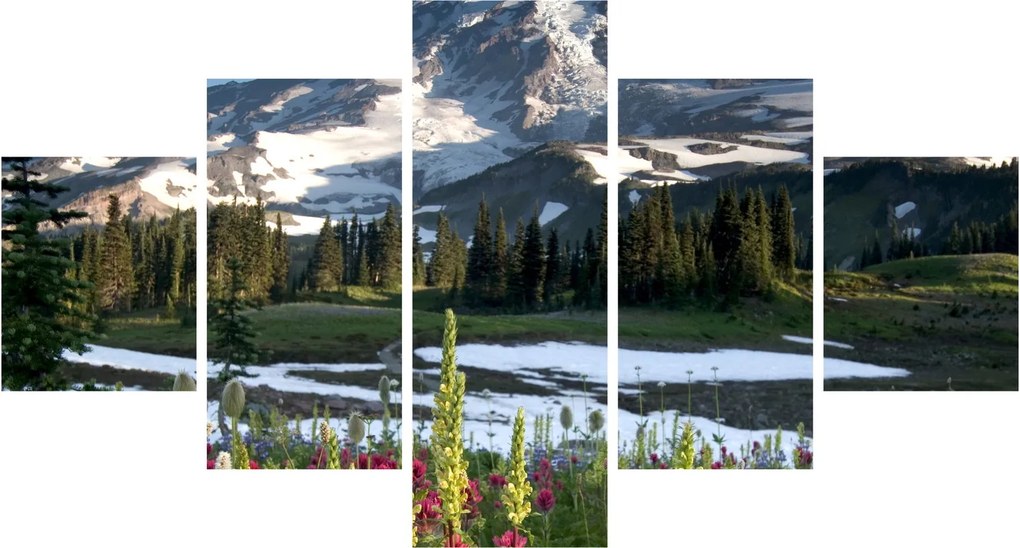 Obraz - Mount Rainier (125x70 cm)