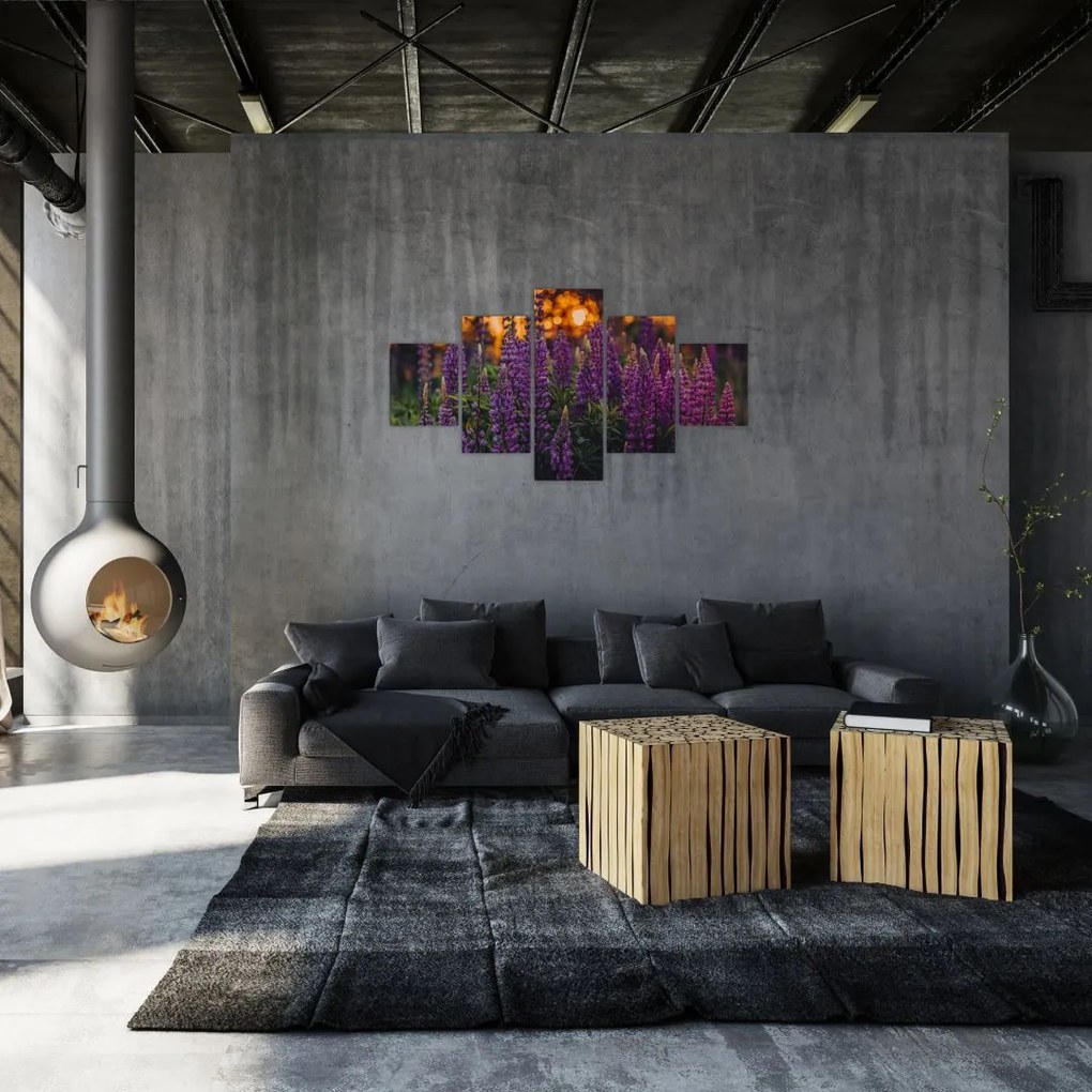 Obraz kwiatów łubinu (125x70 cm)