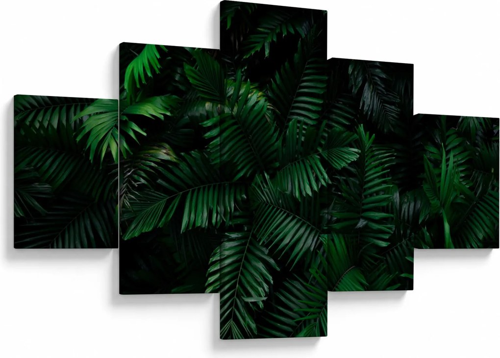 Obraz - Paprocie tropikalne (125x70 cm)