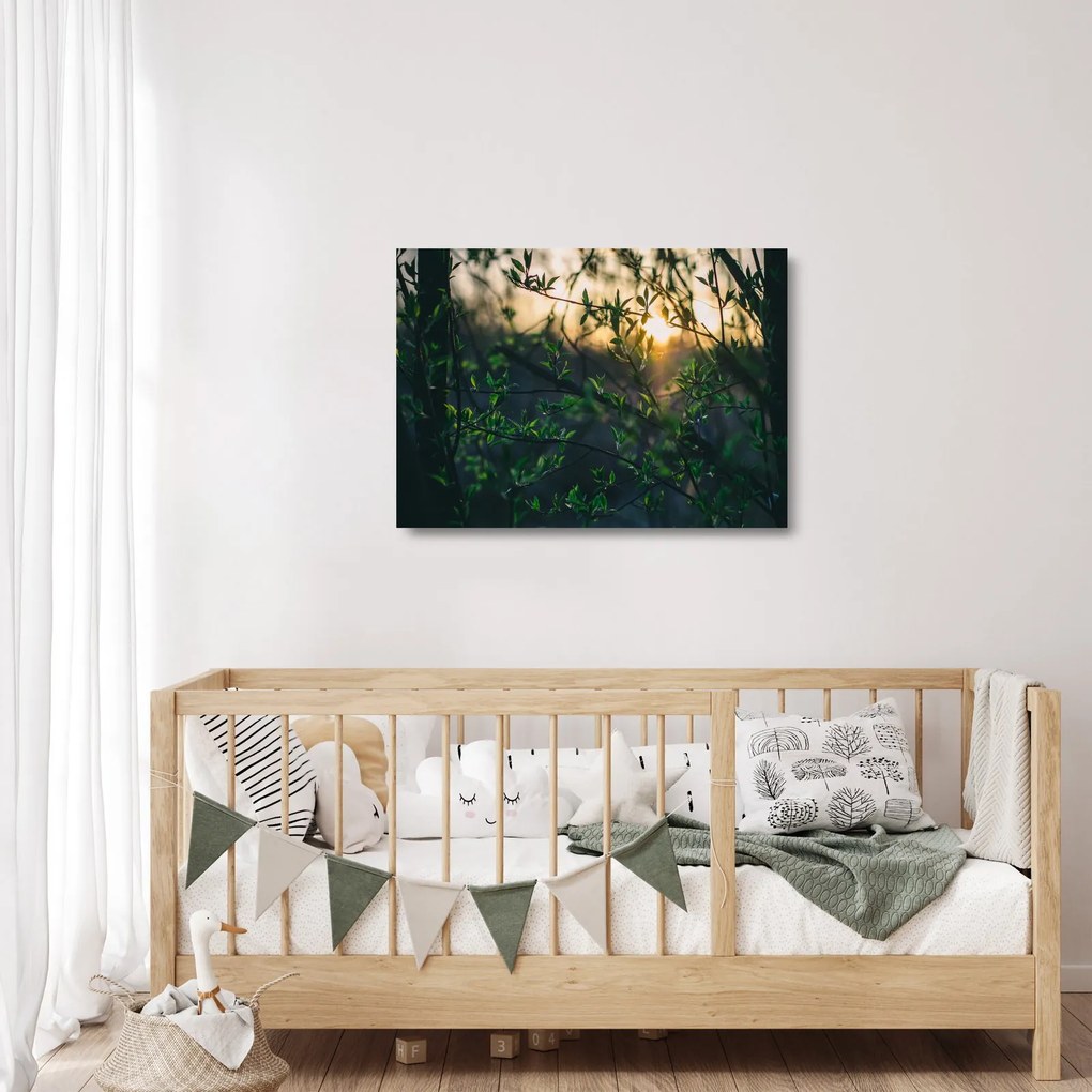 Obraz na szkle słońca przeświecającego przez gałęzie drzew (70x50 cm)