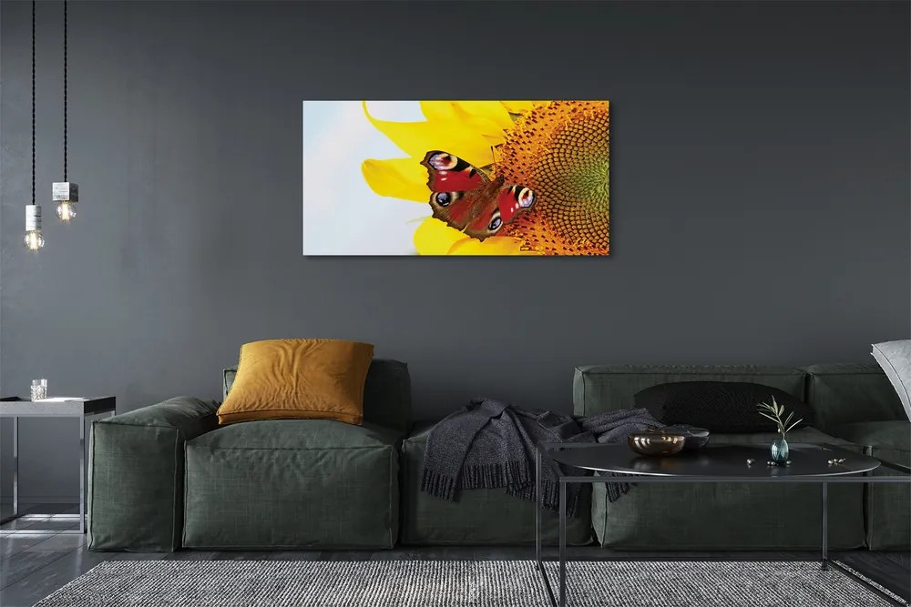 Obraz drukowany na płótnie Motyl na Słoneczniku