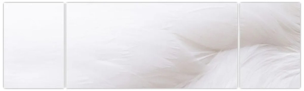 Obraz - Szczegół piórka (170x50 cm)