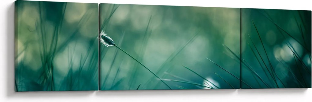 Obraz - Szczegół trawy (170x50 cm)