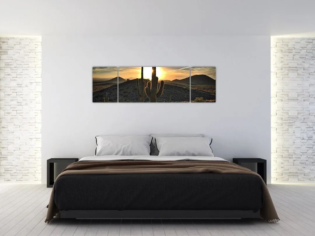 Obraz - kaktusy w słońcu (170x50 cm)