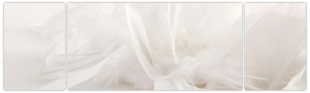 Obraz - Pióro (170x50 cm)