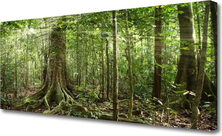 Obraz canvas Gęstwina Tropikalnej Dżungli