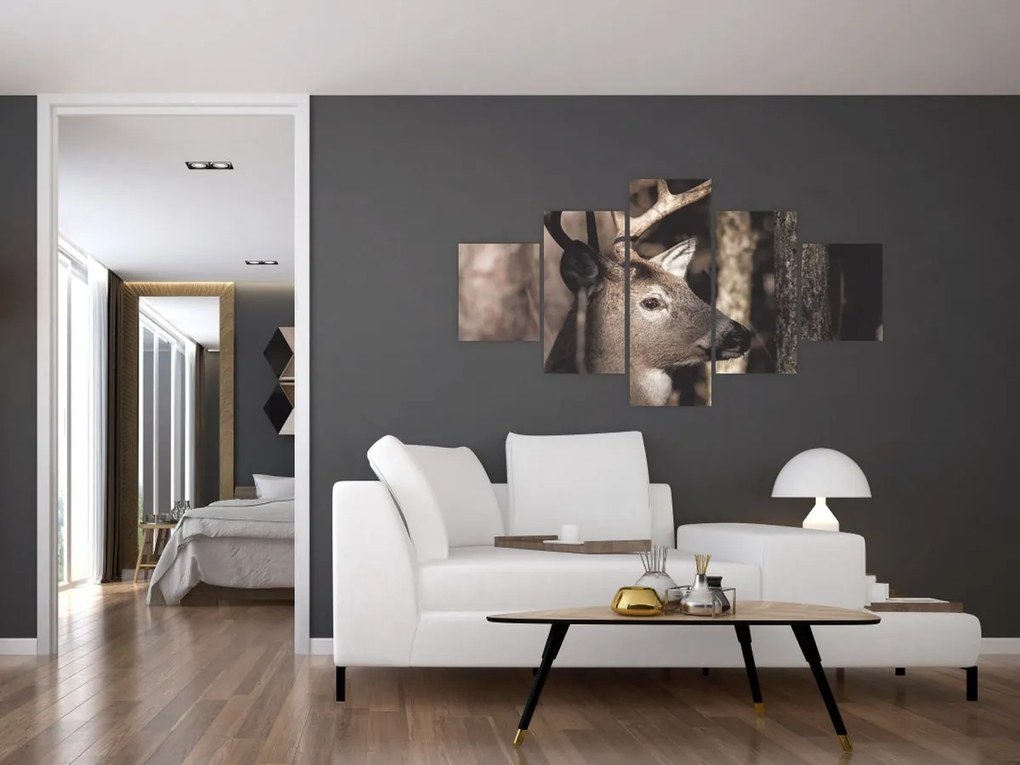 Obraz - Jeleń w lesie (125x70 cm)