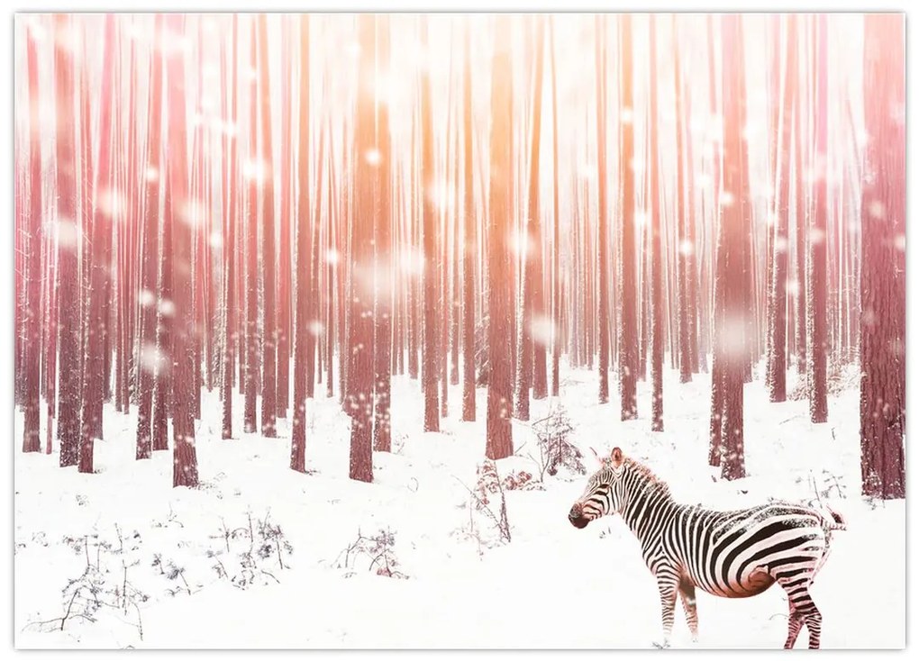 Obraz na szkle - Zebra w śnieżnym lesie (70x50 cm)