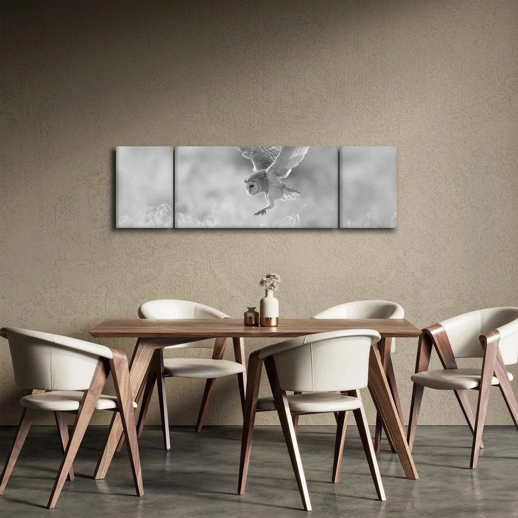 Obraz - Sowa, czarno - biały (170x50 cm)