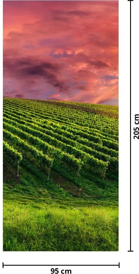Fototapeta na drzwi - Winnica z kolorowym niebem (95x205cm)