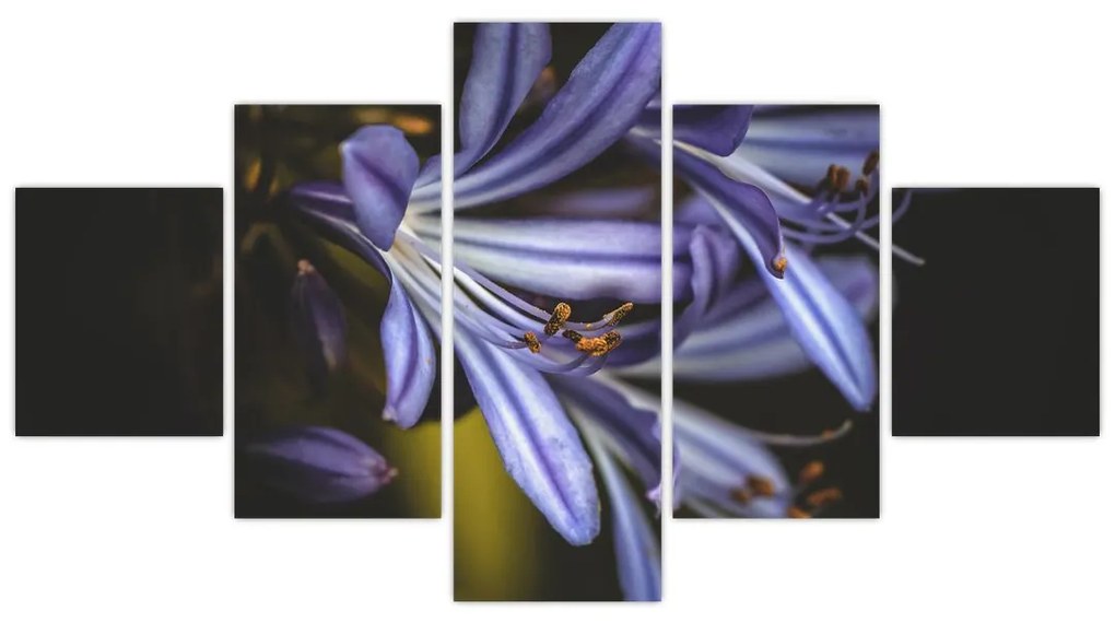 Obraz - Lilia (125x70 cm)