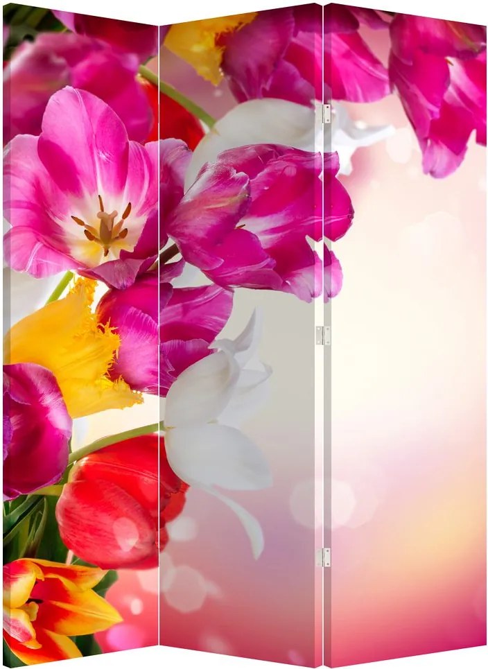 Parawan - Tulipany (126x170 cm)