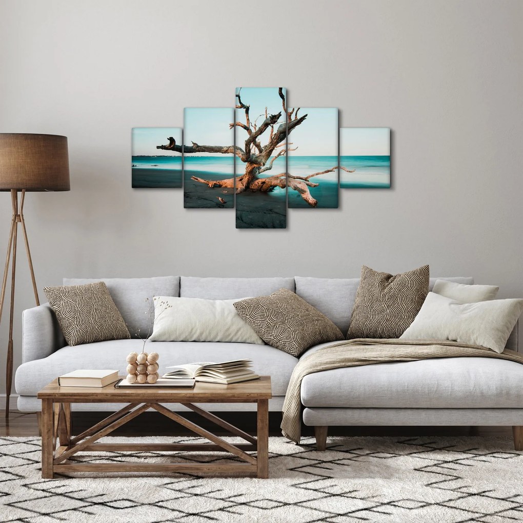 Obraz - Wyłowiono na plaży (125x70 cm)