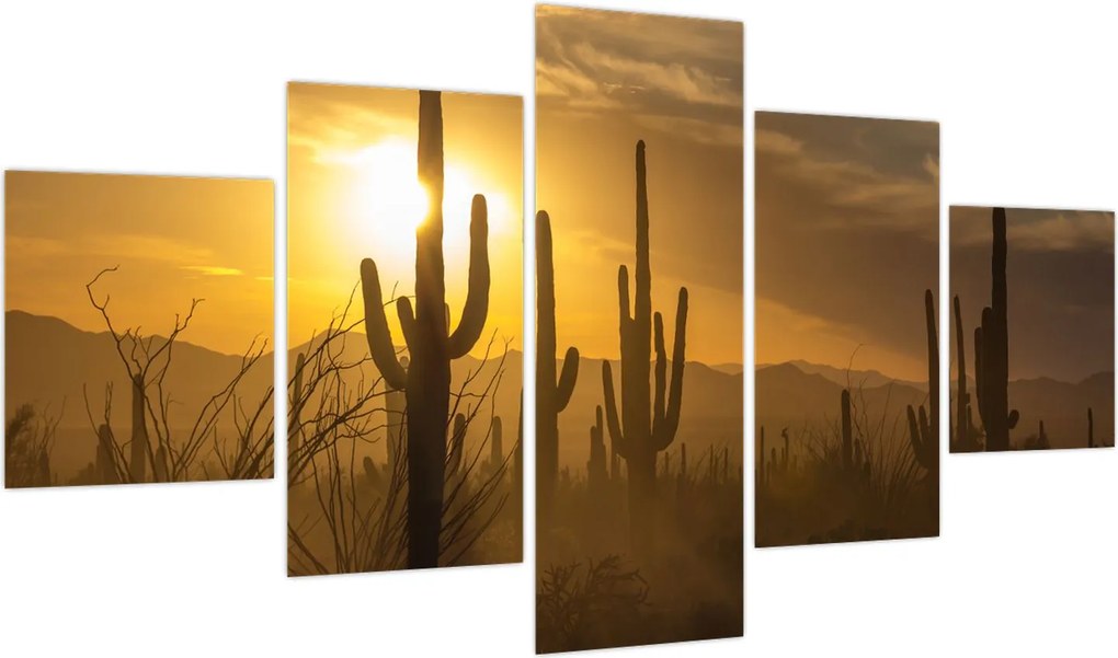 Obraz - Kaktusy Saguaro (125x70 cm)