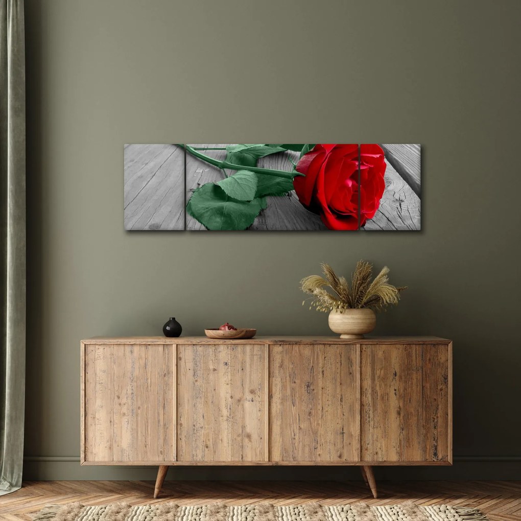 Obraz - Czerwona róża z zieloną łodygą (170x50 cm)
