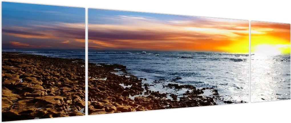 Obraz - Mewa lecąca nad wybrzeżem (170x50 cm)