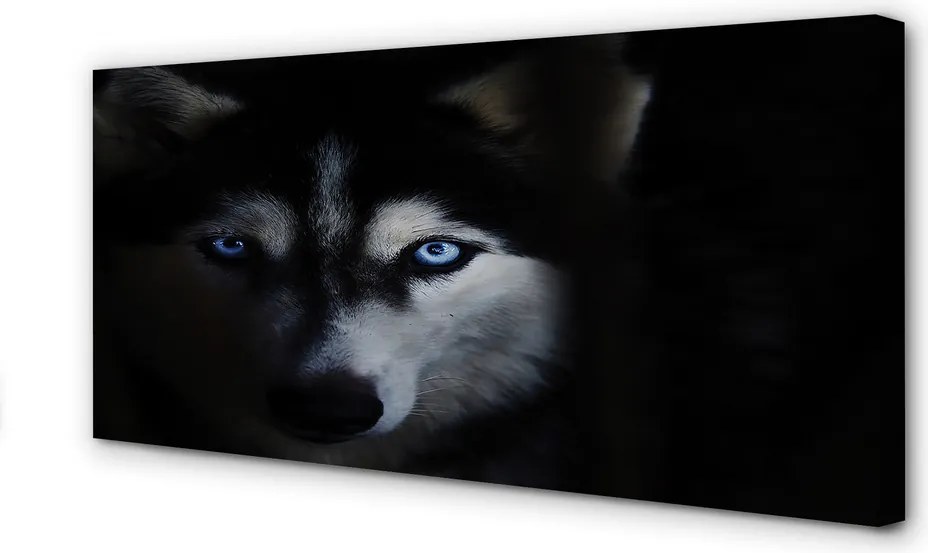 Obraz na płótnie Spojrzenie Wilka