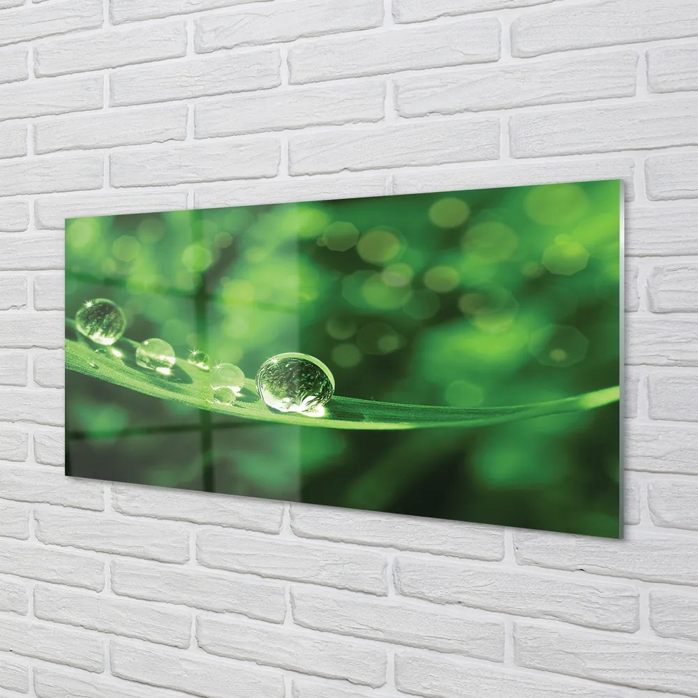 Szklany Panel Rosa w Przybliżeniu