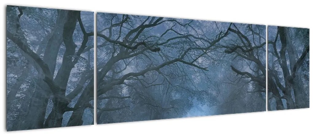 Obraz lasu we mgle (170x50 cm)