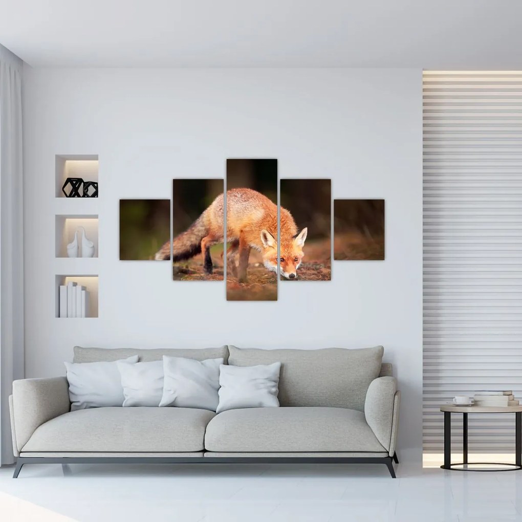 Obraz - Lis w lesie (125x70 cm)