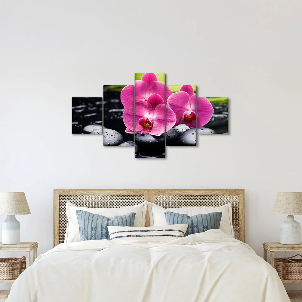 Obraz - Różowe orchidee z liściem palmy (125x70 cm)