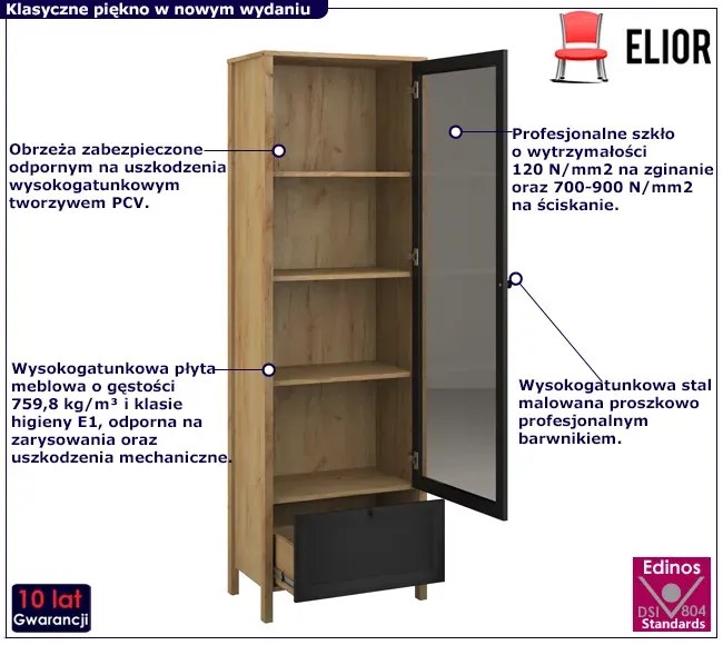 Nowoczesna witryna do salonu E6-F82