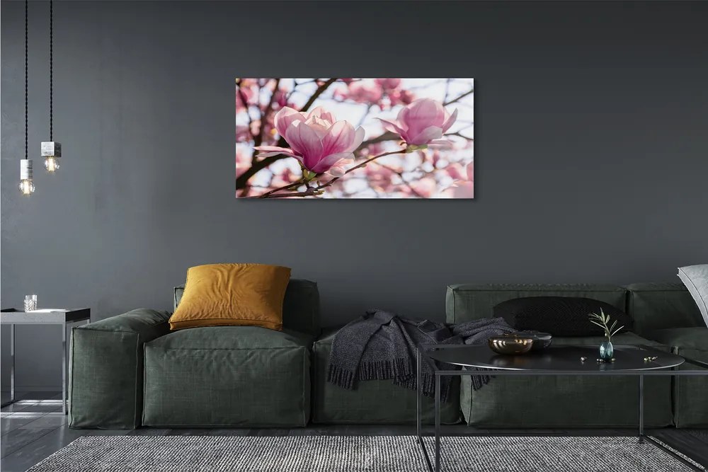 Obraz akrylowy Magnolia drzewa