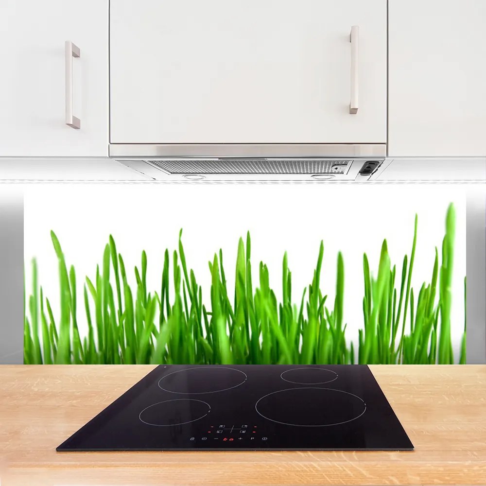 Panel Kuchenny Polna Trawa O Złotej Godzinie