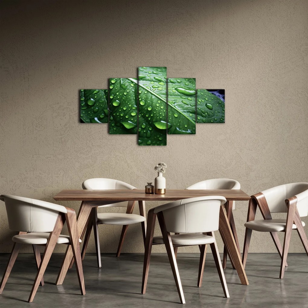 Obraz - Szczegół liścia po deszczu (125x70 cm)