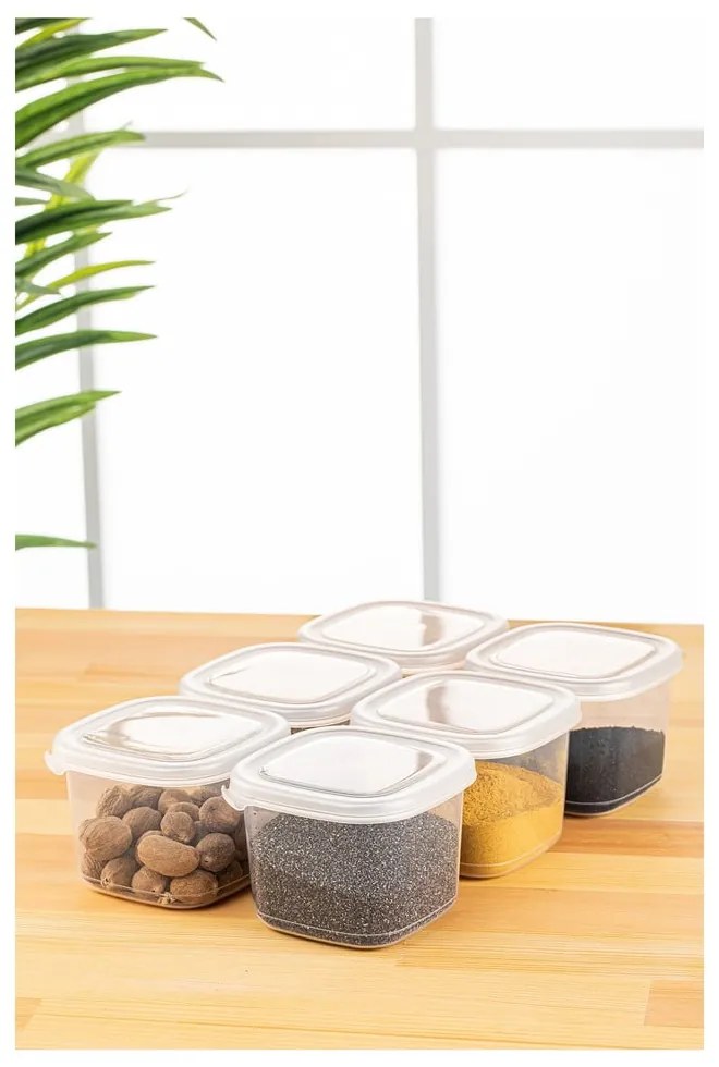 Pojemniki 6 szt. na żywność Fresco – Hermia