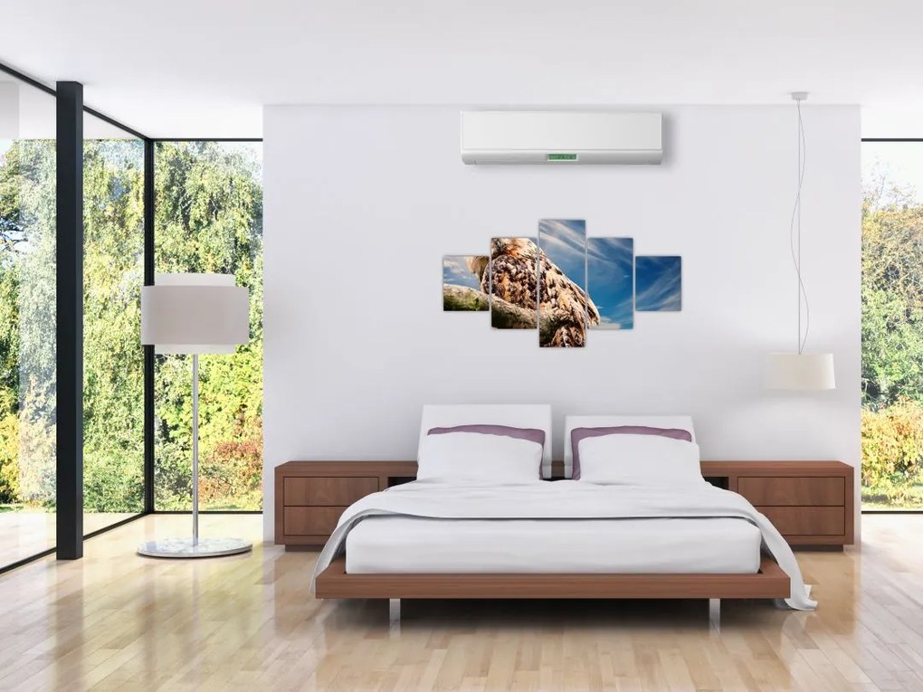 Obraz sowy (125x70 cm)