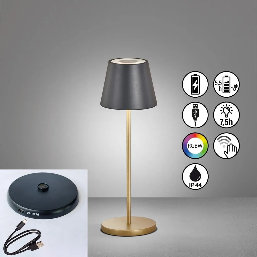 Lampa stołowa LED w czarno-złotym kolorze z metalowym kloszem (wysokość 34 cm) Cosenza – Fischer & Honsel