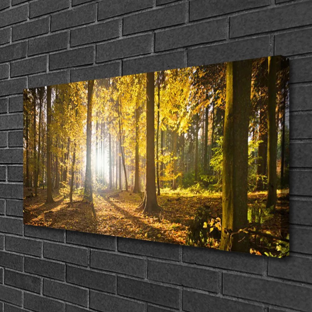 Fotoobraz na płótnie Głęboka Zieleń Leśnych Liści