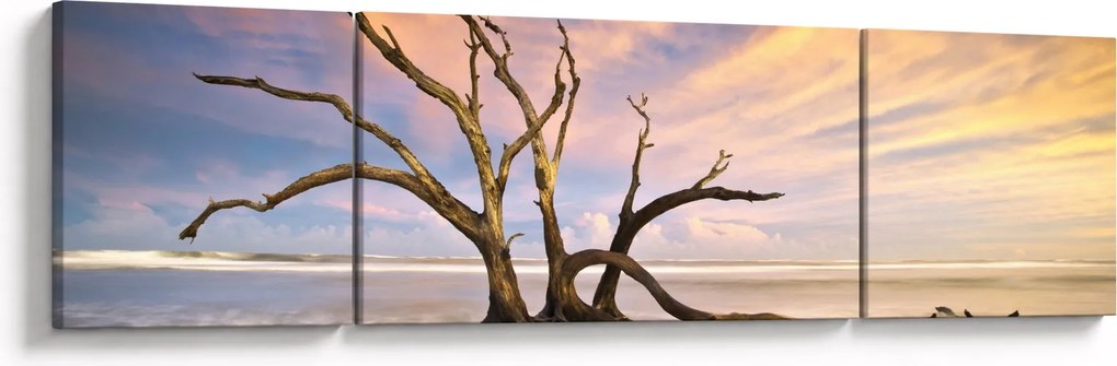 Obraz drzewa w oceanie (170x50 cm)