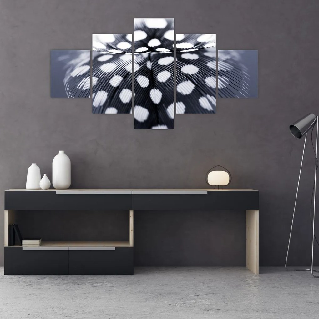 Obraz - Piórko (125x70 cm)