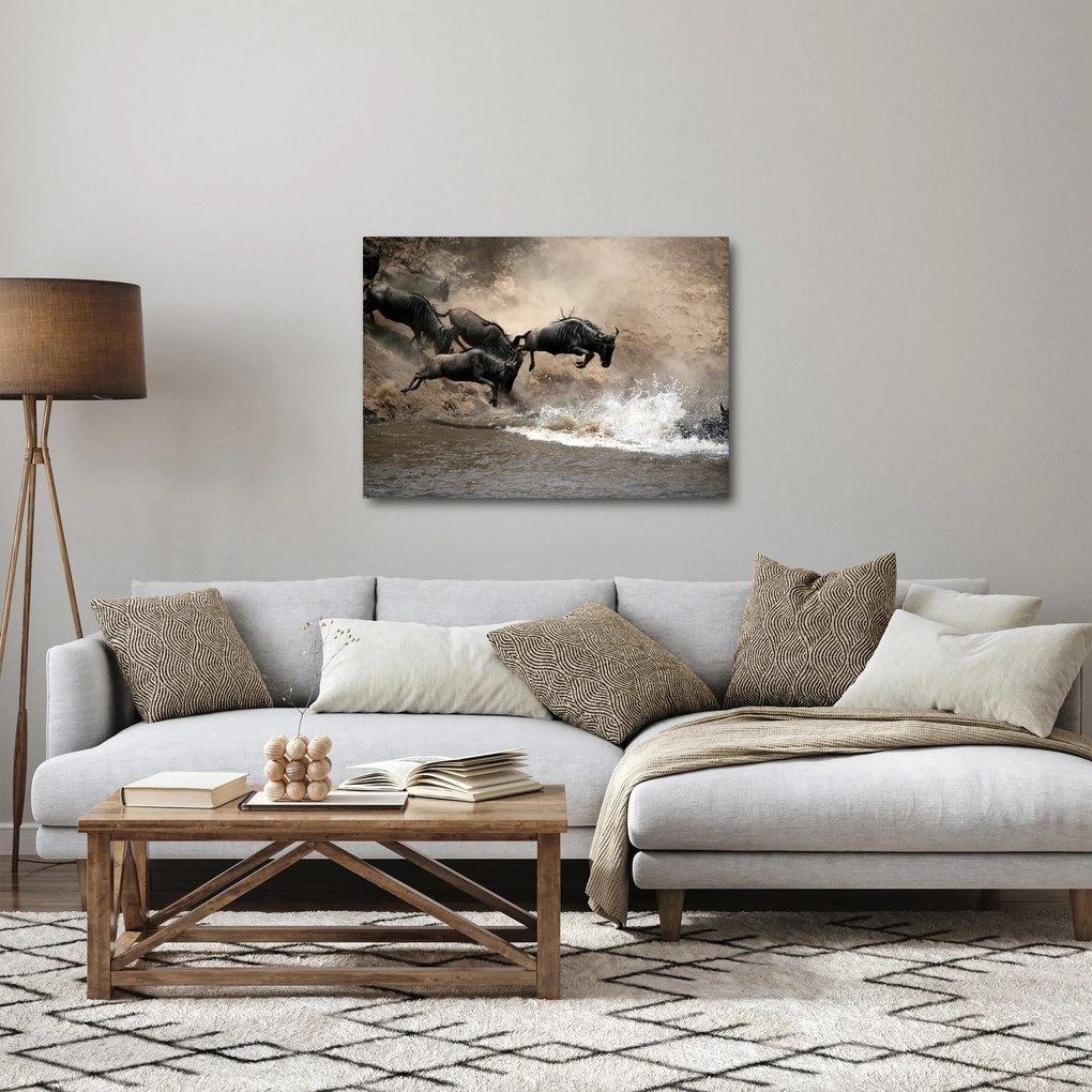 Obraz - Stado antylop gnu (70x50 cm)